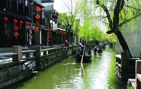 同心迎春 共富未来